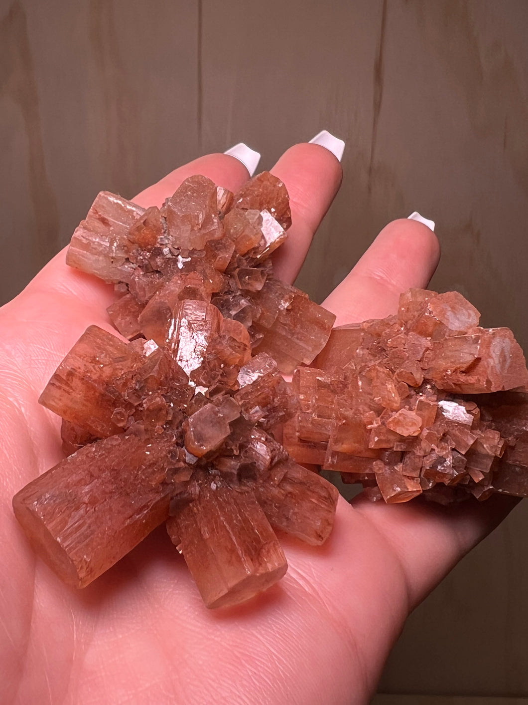 Aragonite Stars