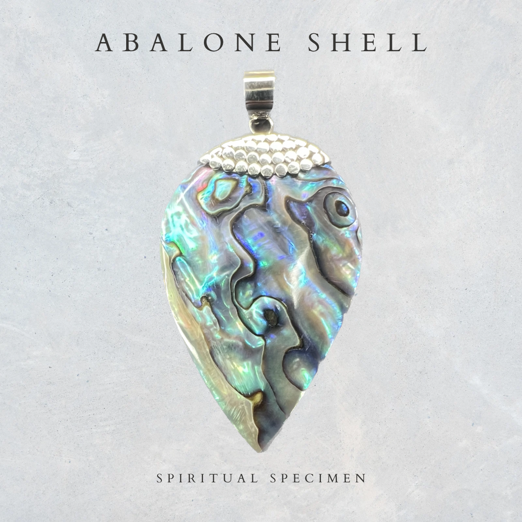 Abalone Shell Pendant