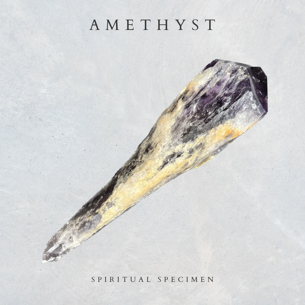 Amethyst Root