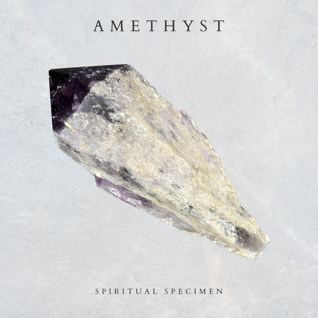 Amethyst Root