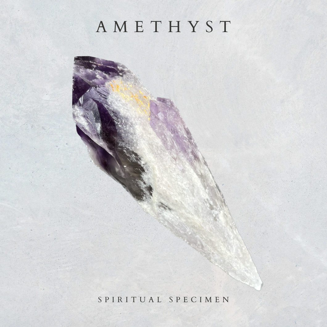 Amethyst Root