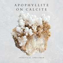 Load image into Gallery viewer, Apophyllite on Calcite
