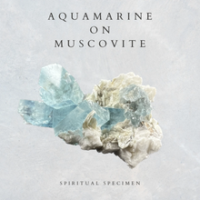 Load image into Gallery viewer, Aquamarine on Muscovite
