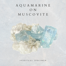 Load image into Gallery viewer, Aquamarine on Muscovite
