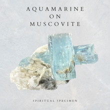 Load image into Gallery viewer, Aquamarine on Muscovite
