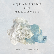 Load image into Gallery viewer, Aquamarine on Muscovite
