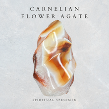 Load image into Gallery viewer, Carnelian Flower Agate Flame
