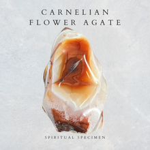 Load image into Gallery viewer, Carnelian Flower Agate Flame
