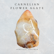 Load image into Gallery viewer, Carnelian Flower Agate Flame
