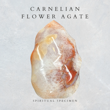 Load image into Gallery viewer, Carnelian Flower Agate Flame
