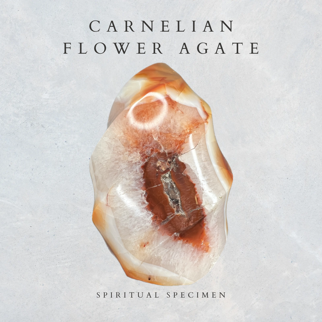 Carnelian Flower Agate Flame