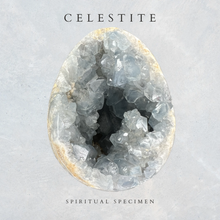 Load image into Gallery viewer, Celestite Egg
