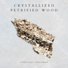 Load image into Gallery viewer, Crystallized Petrified Wood
