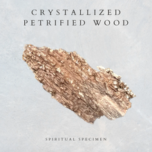 Load image into Gallery viewer, Crystallized Petrified Wood
