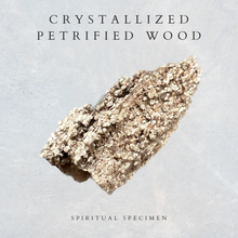 Load image into Gallery viewer, Crystallized Petrified Wood
