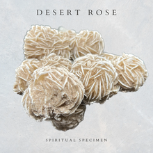 Load image into Gallery viewer, Desert Rose
