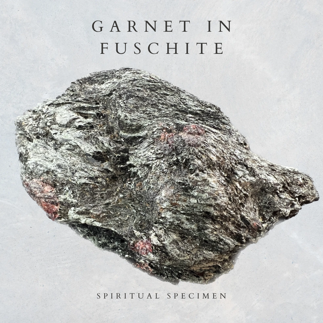 Garnet in Fuschite