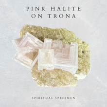 Load image into Gallery viewer, Pink Halite on Trona
