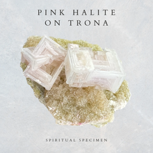 Load image into Gallery viewer, Pink Halite on Trona
