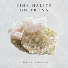 Load image into Gallery viewer, Pink Halite on Trona
