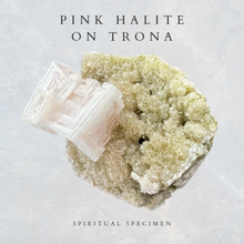 Load image into Gallery viewer, Pink Halite on Trona
