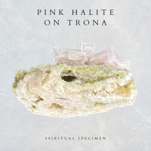 Load image into Gallery viewer, Pink Halite on Trona
