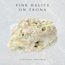 Load image into Gallery viewer, Pink Halite on Trona
