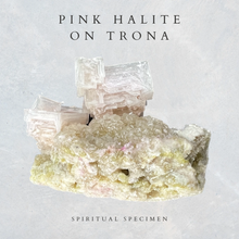 Load image into Gallery viewer, Pink Halite on Trona
