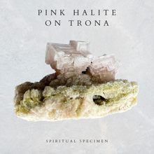 Load image into Gallery viewer, Pink Halite on Trona
