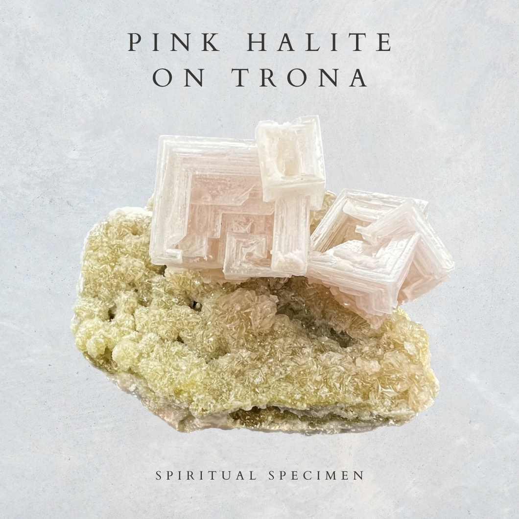 Pink Halite on Trona