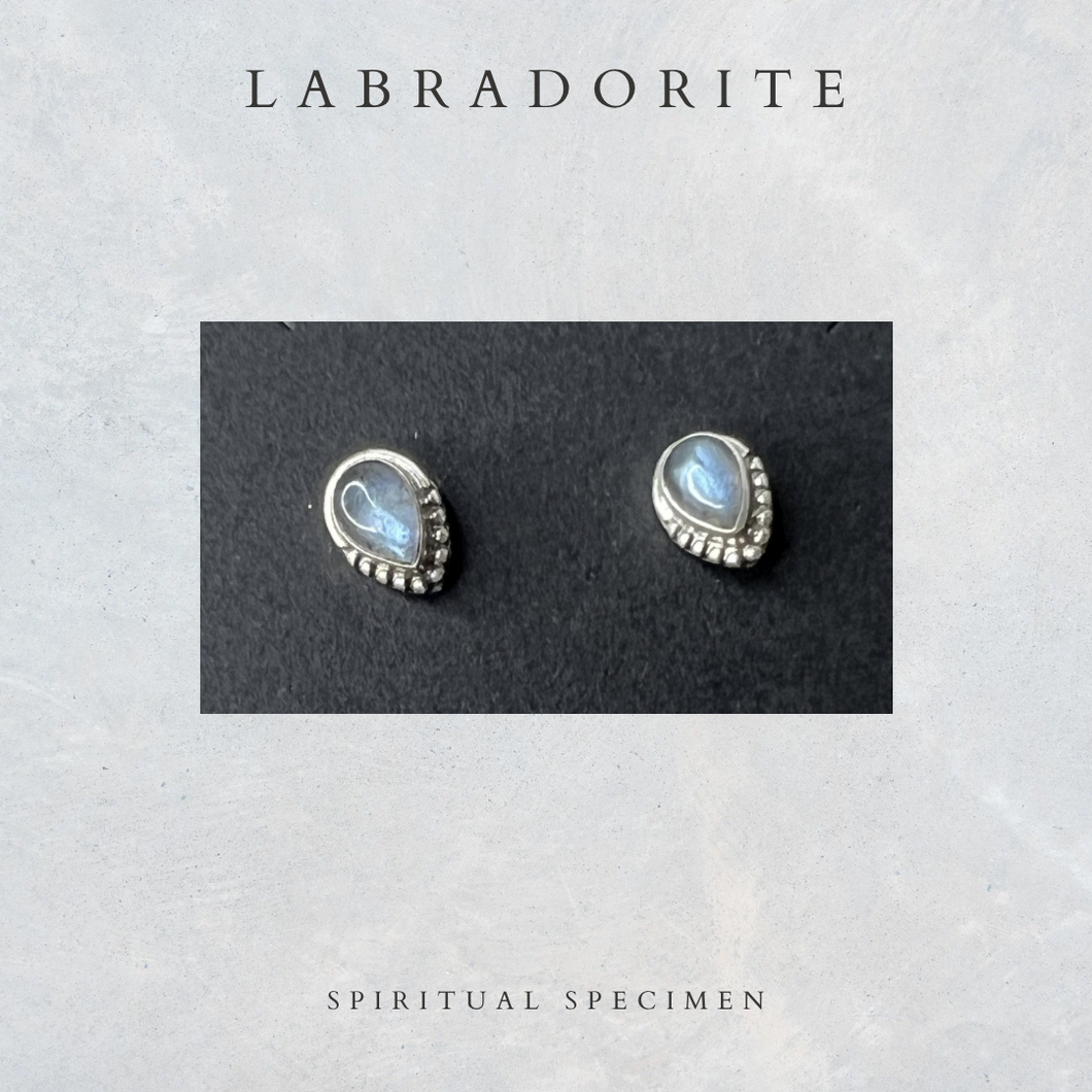 Labradorite Pear Stud Earrings