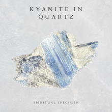 Load image into Gallery viewer, Kyanite in Quartz
