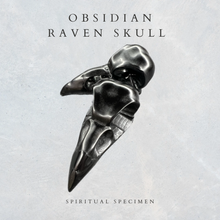 Load image into Gallery viewer, Obsidian Raven Skulls
