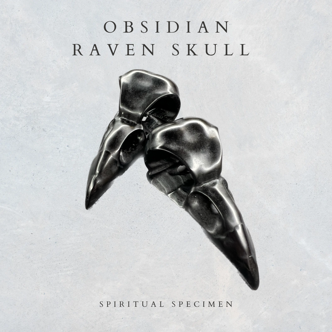 Obsidian Raven Skulls