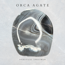 Load image into Gallery viewer, Orca Agate Freeform
