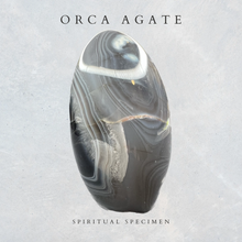 Load image into Gallery viewer, Orca Agate Freeform
