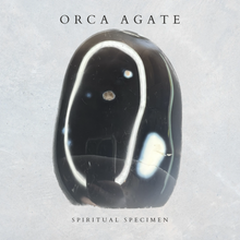 Load image into Gallery viewer, Orca Agate Freeform
