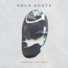 Load image into Gallery viewer, Orca Agate Freeform
