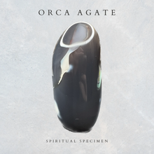 Load image into Gallery viewer, Orca Agate Freeform
