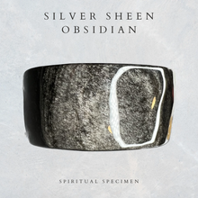 Load image into Gallery viewer, Silver Sheen Obisidian Bowl
