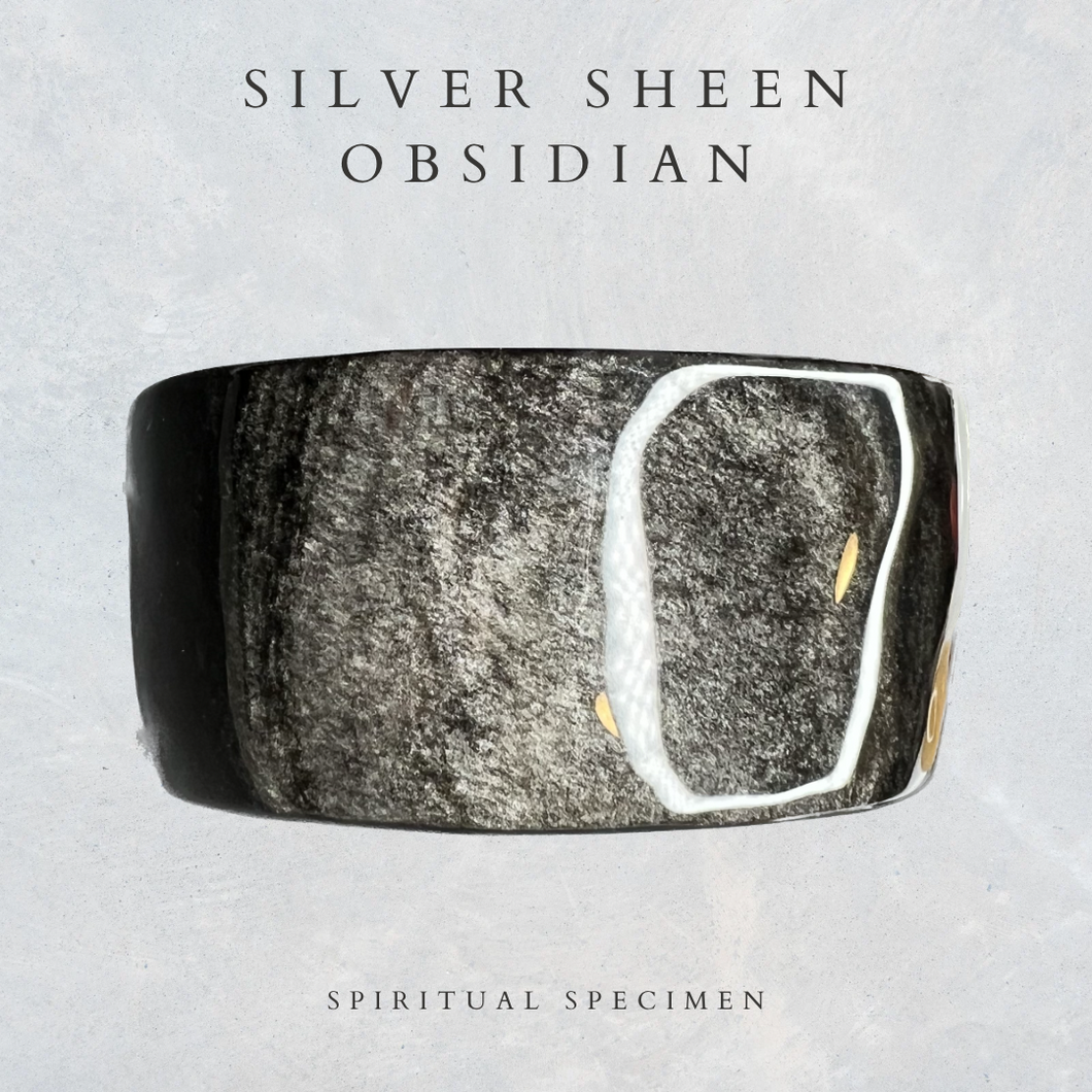 Silver Sheen Obisidian Bowl