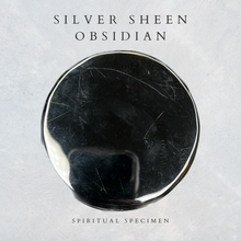 Load image into Gallery viewer, Silver Sheen Obisidian Bowl
