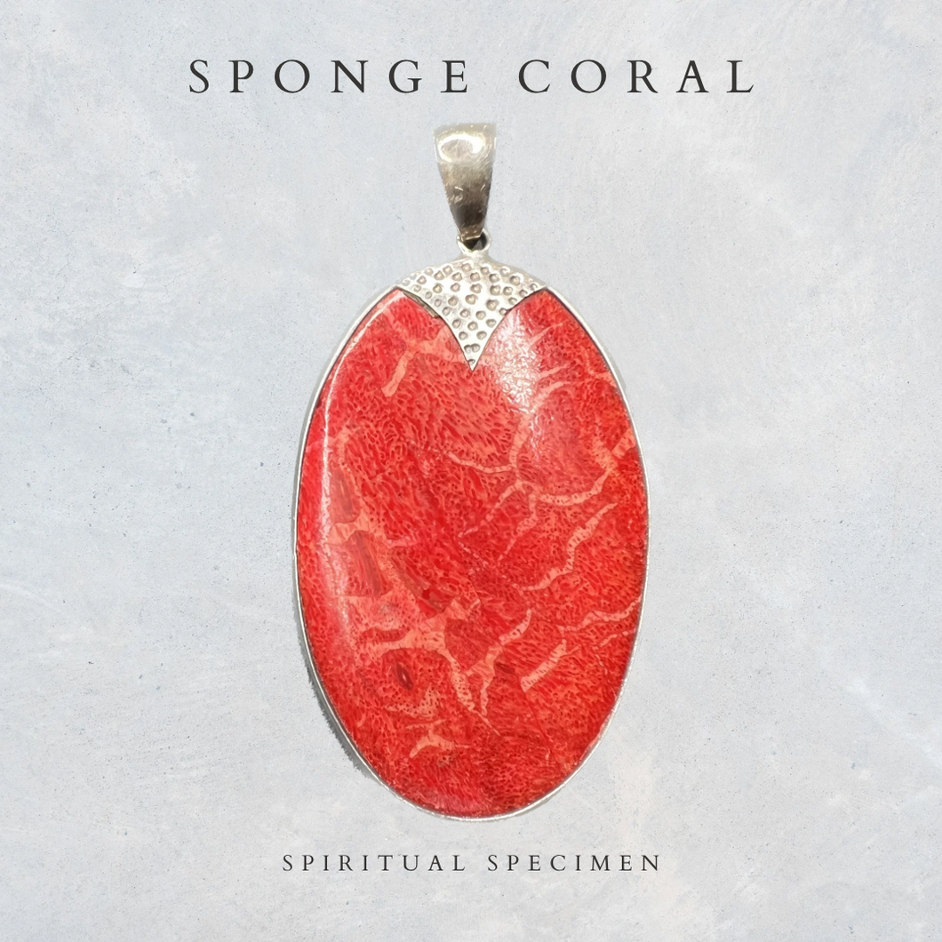 Sponge Coral Pendant