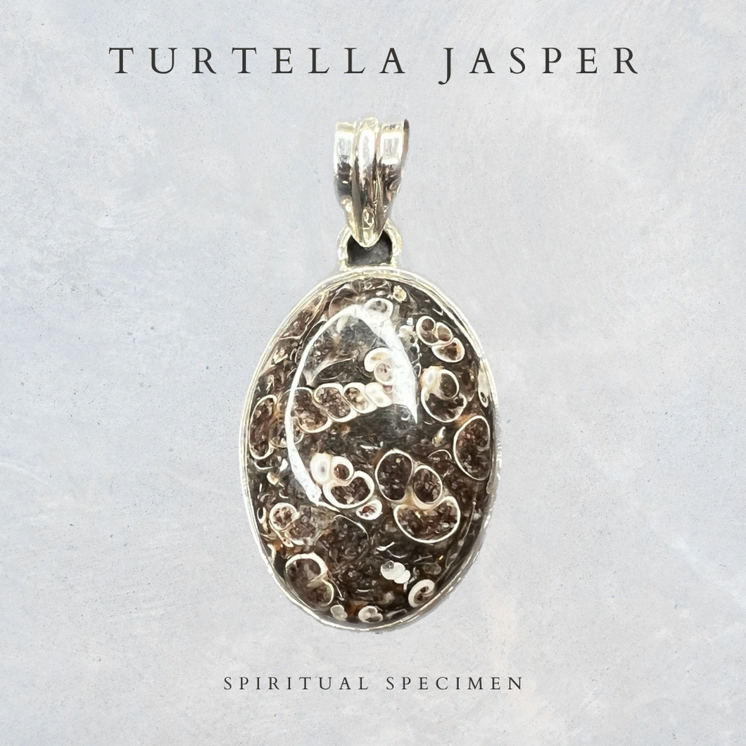 Turtella Jasper Pendant